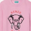 Fransız Havlu Kumaştan Nakışlı Sweatshirt